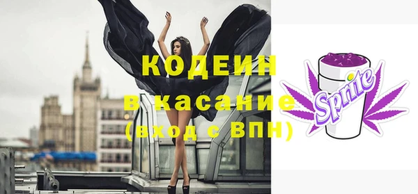 ECSTASY Алзамай