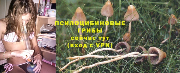 наркотики Алексин