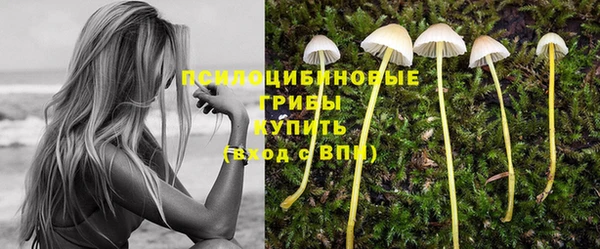 сатива Алексеевка