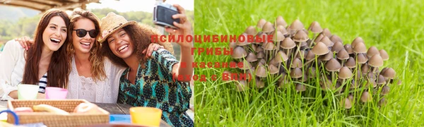 сатива Алексеевка