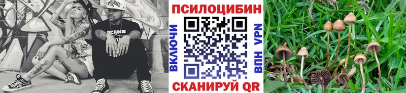 Галлюциногенные грибы мицелий  Катайск 